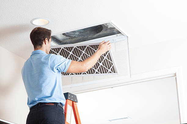 Best HVAC tune-up services  in Howard Lake, MN